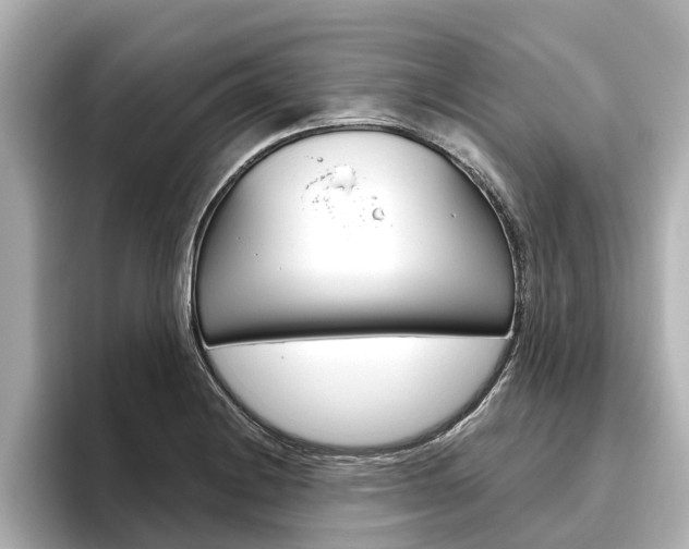 X0000096471228200801241131