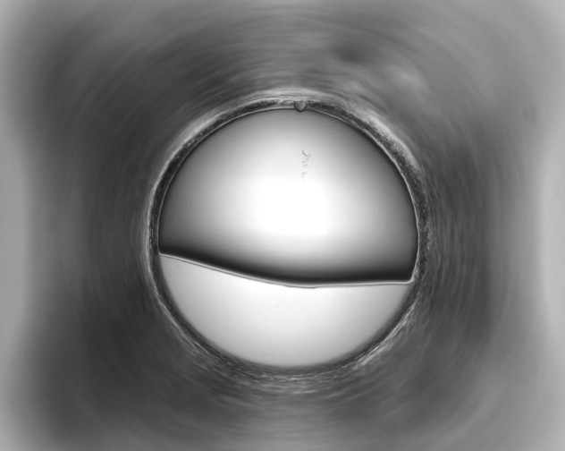 X0000096471229200801241131