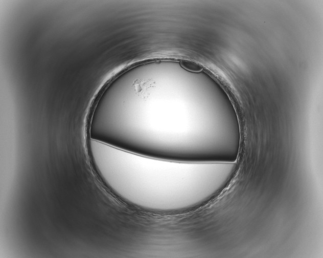 X0000096471230200801241131