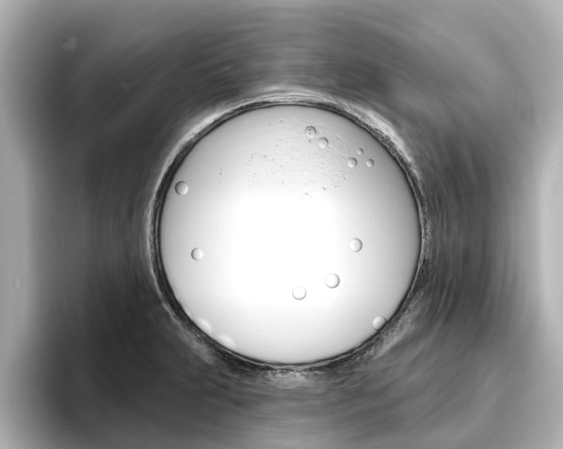 X0000096471231200801241131