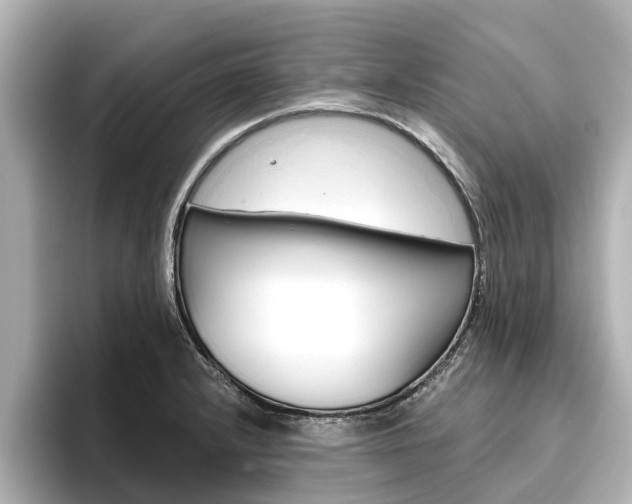 X0000096471232200801241131