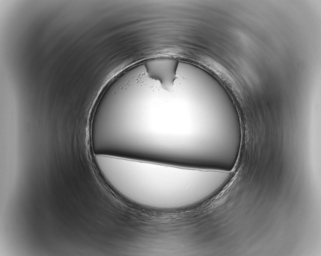 X0000096471234200801241131