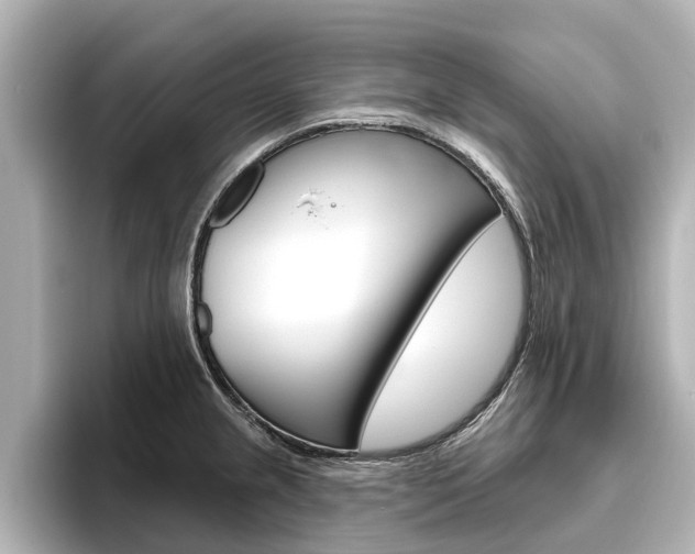 X0000096471237200801241131