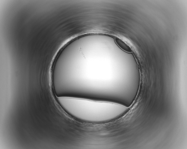 X0000096471238200801241131