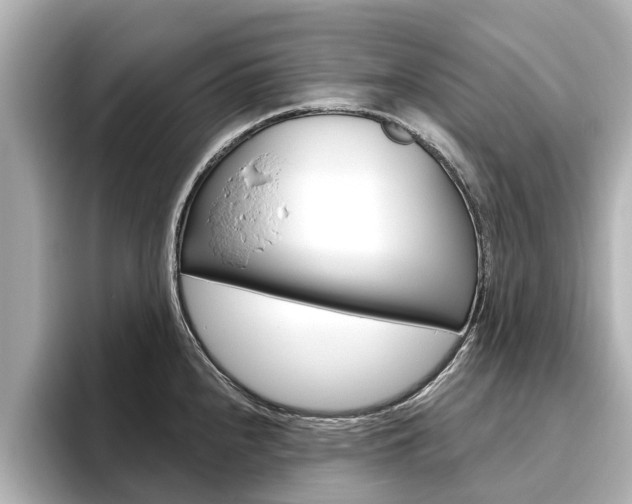 X0000096471240200801241131