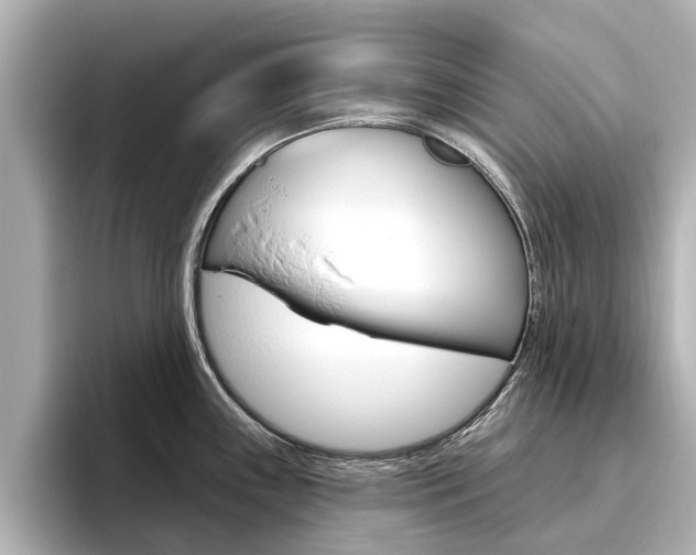 X0000096471243200801241131