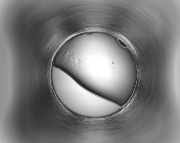 X0000096471244200801241132