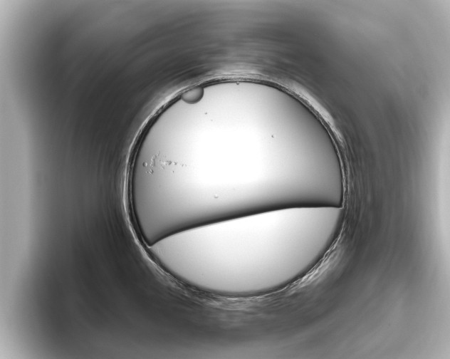 X0000096471245200801241132