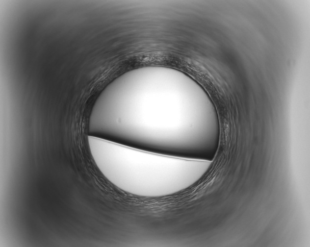 X0000096471250200801241131