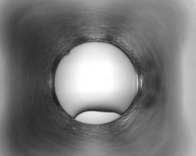 X0000096471251200801241131