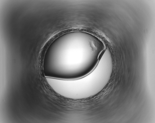 X0000096471256200801241131