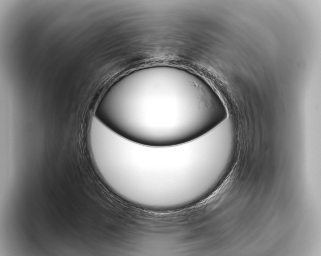 X0000096471257200801241131