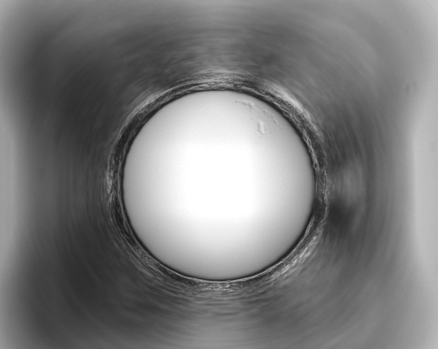 X0000096471259200801241131
