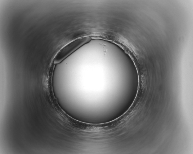 X0000096471260200801241131
