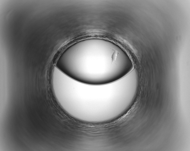 X0000096471261200801241131