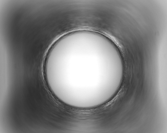 X0000096471264200801241131