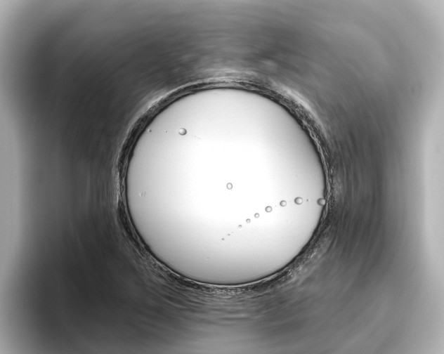 X0000096471267200801241131