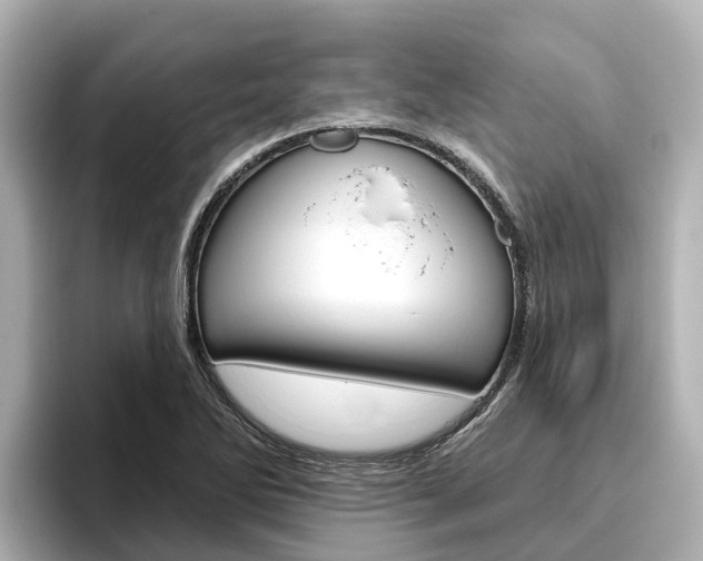 X0000096471270200801241131