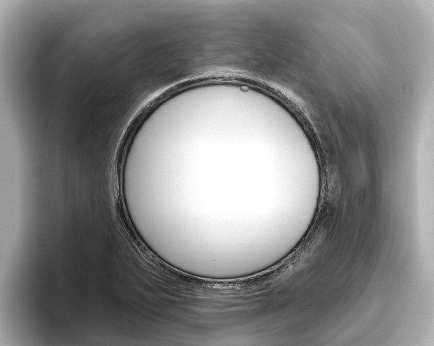 X0000096471271200801241131