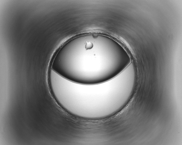 X0000096471277200801241131