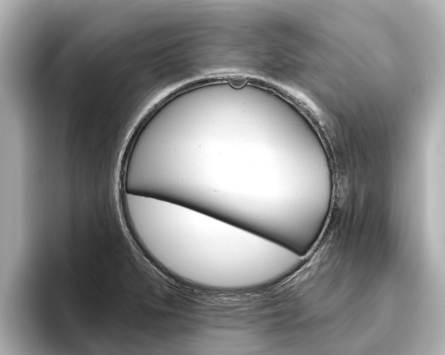 X0000096471279200801241131