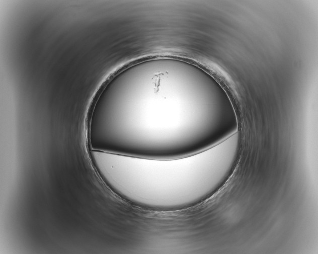 X0000096471280200801241131