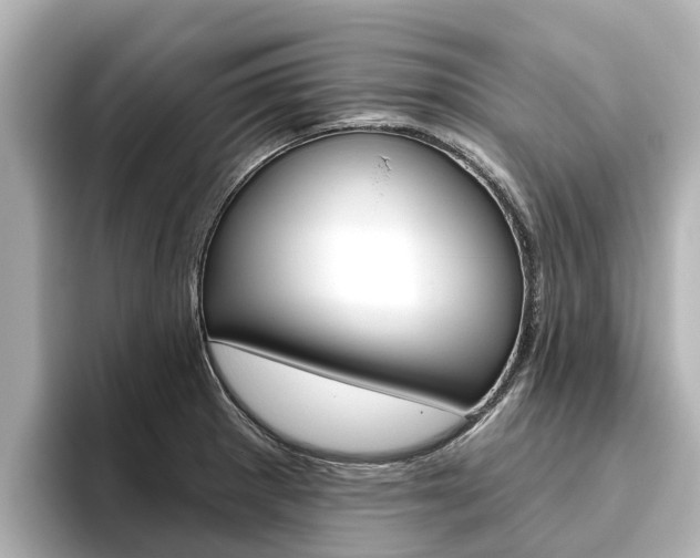 X0000096471281200801241131
