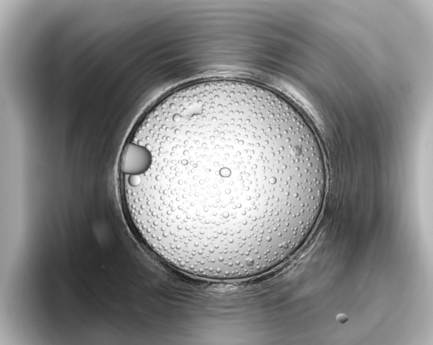 X0000096471283200801241130