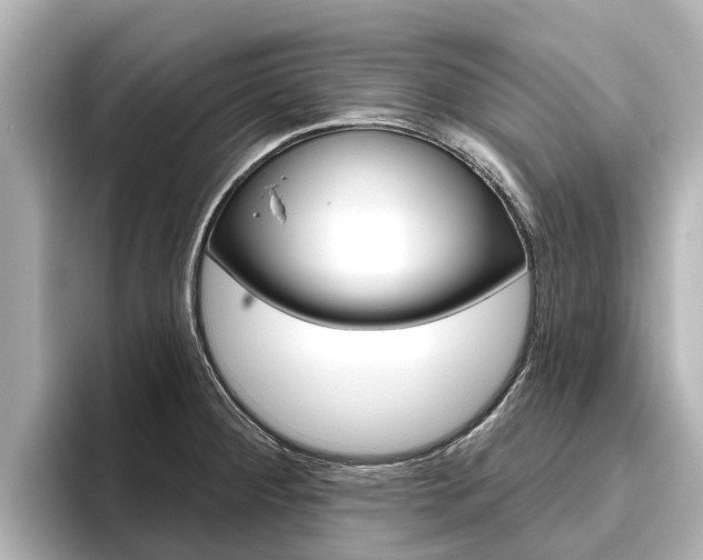 X0000096471284200801241130