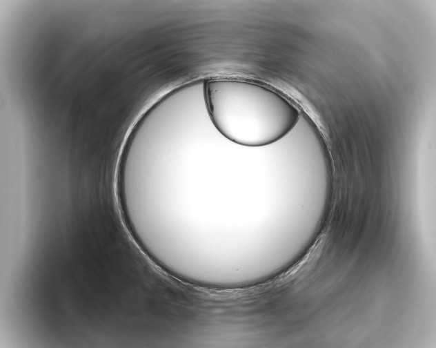 X0000096471285200801241130
