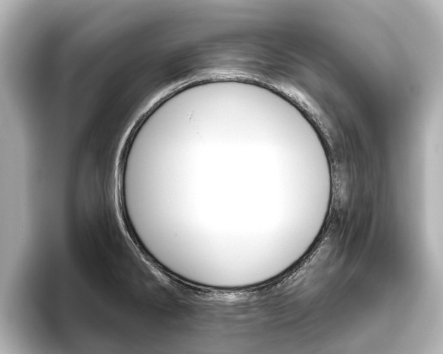X0000096471286200801241130