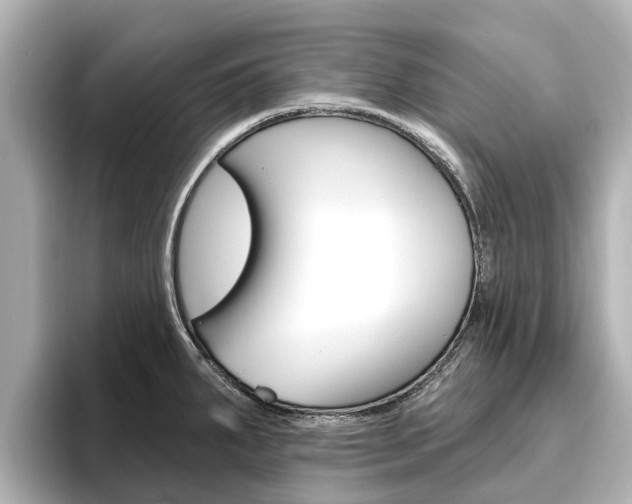 X0000096471287200801241130