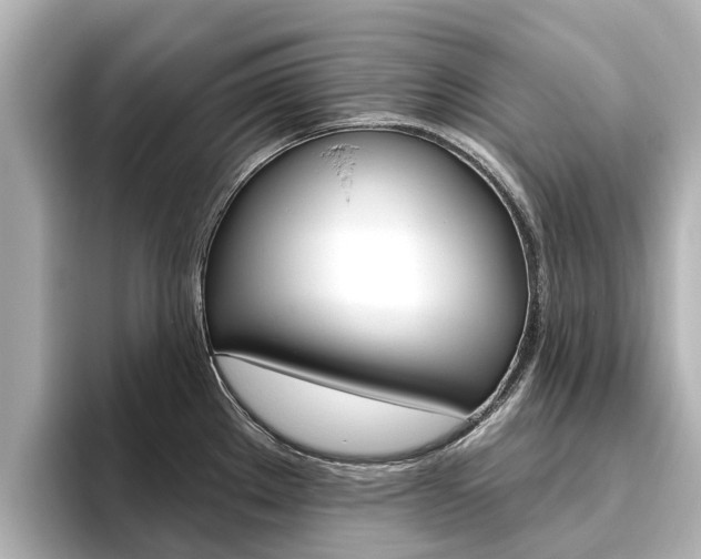 X0000096471289200801241130