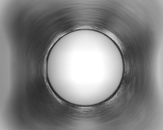 X0000096471290200801241130