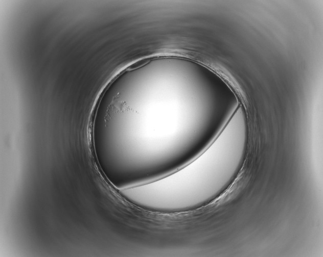 X0000096471292200801241130