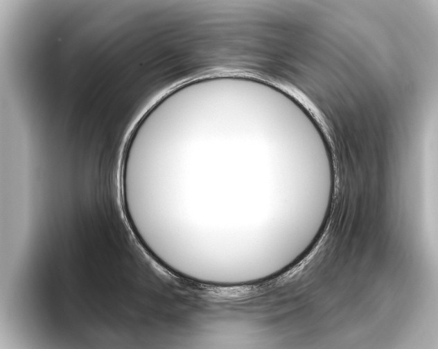 X0000096471294200801241130