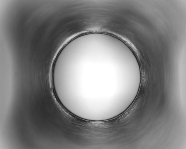 X0000096471295200801241130