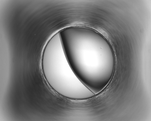 X0000096471296200801241130
