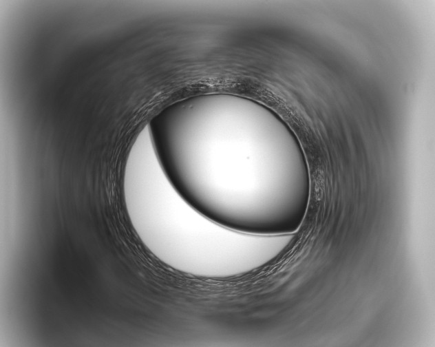 X0000096471298200801241130