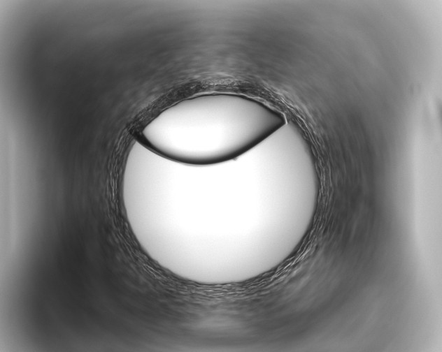 X0000096471301200801241130