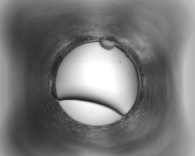 X0000096471302200801241130