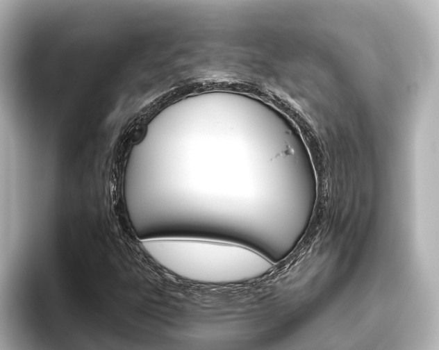 X0000096471303200801241130