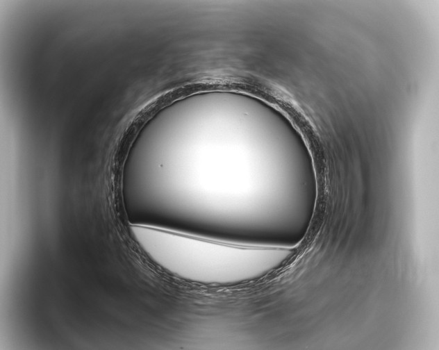 X0000096471304200801241130