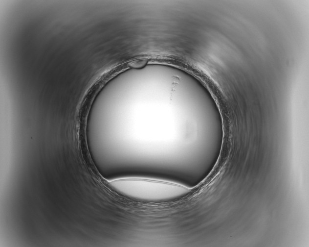 X0000096471307200801241130