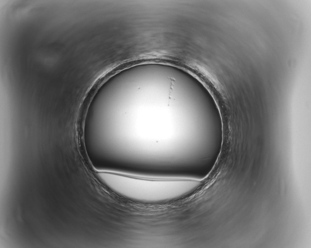 X0000096471308200801241130