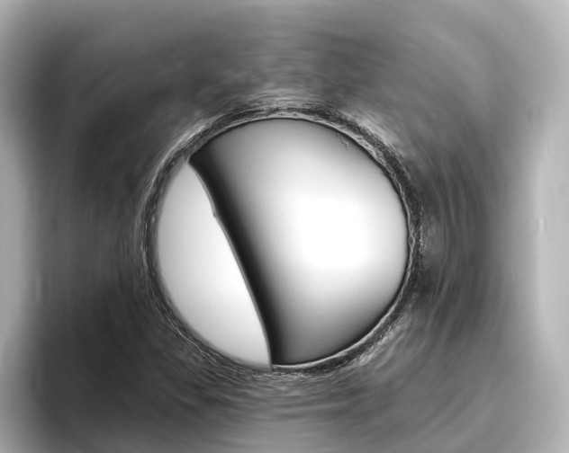 X0000096471309200801241130