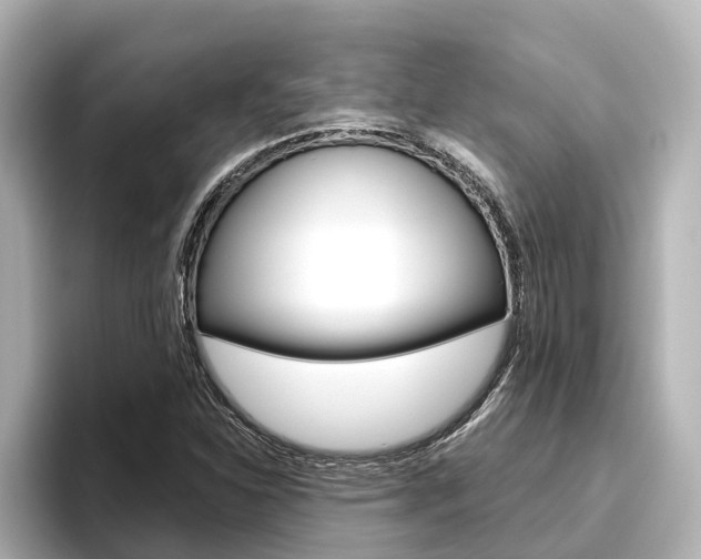 X0000096471310200801241130