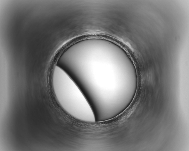 X0000096471311200801241130