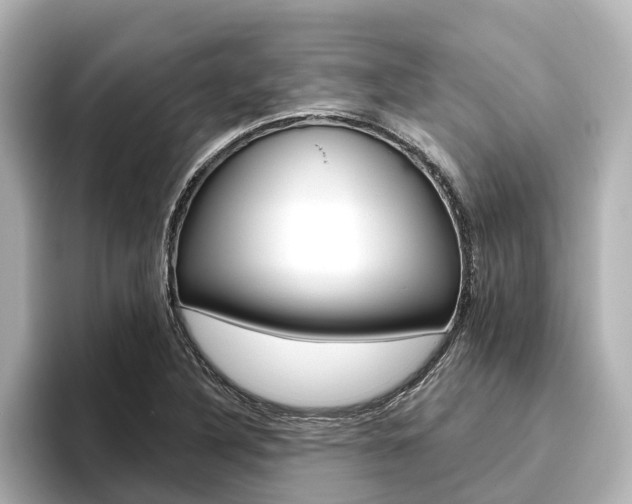X0000096471316200801241130