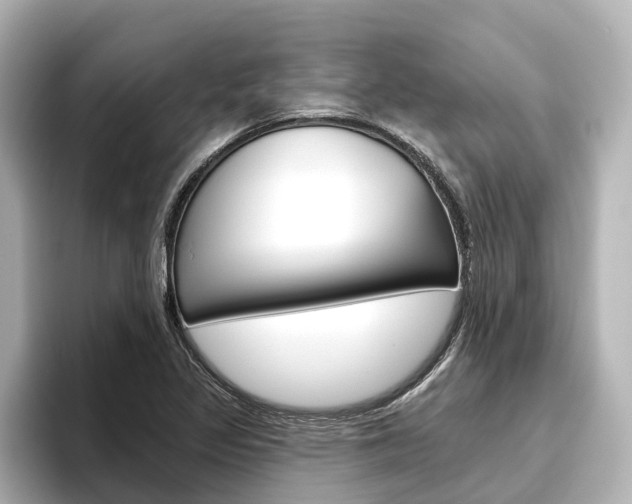X0000096471317200801241130